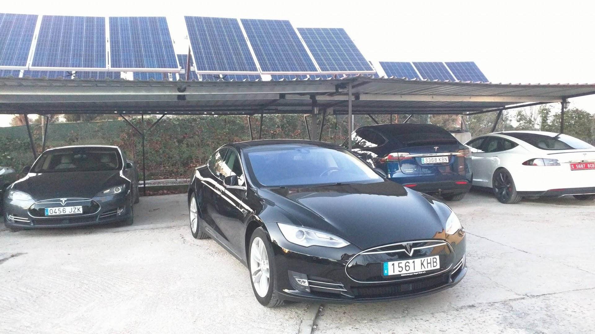 Tesla Import Specialist - MiConcesionario